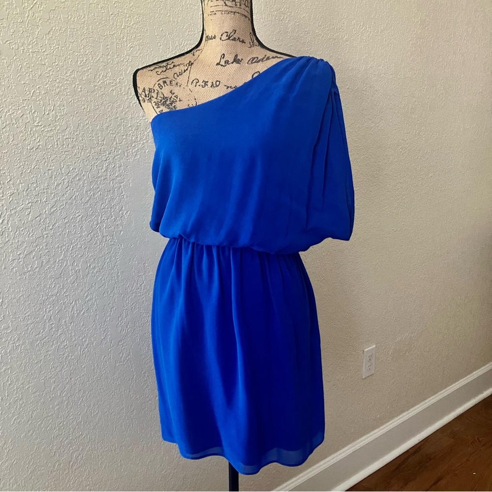 RORY BECA one shoulder silk dress